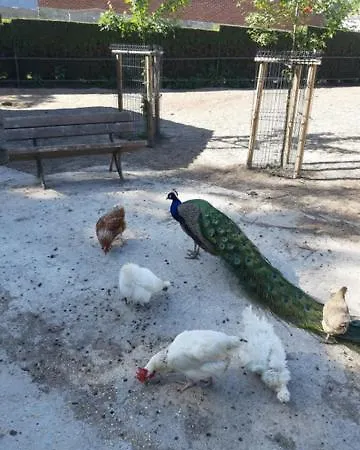 Chez Nanou Avec Petit Déjeuner Habitación en casa particular